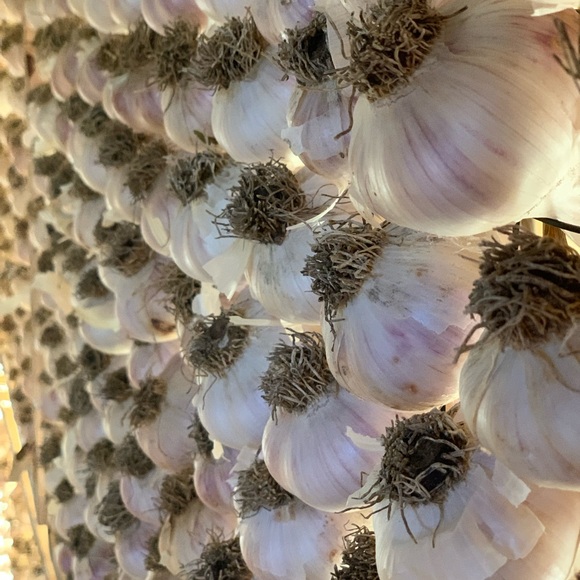 The Farm Other - Garlic from The Farm: San Juan Island